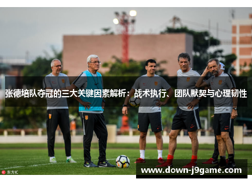 张德培队夺冠的三大关键因素解析：战术执行、团队默契与心理韧性