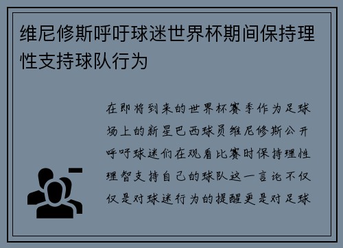 维尼修斯呼吁球迷世界杯期间保持理性支持球队行为