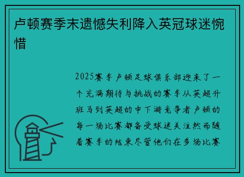 卢顿赛季末遗憾失利降入英冠球迷惋惜